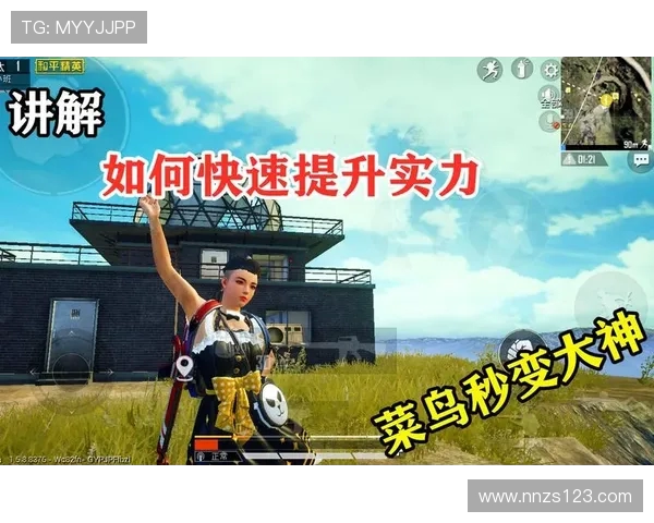 和平精英中的LNG技术解析与应用探讨助力游戏体验提升